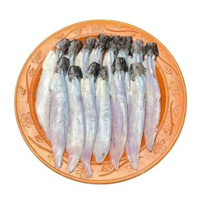 দেশি শিং মাছ